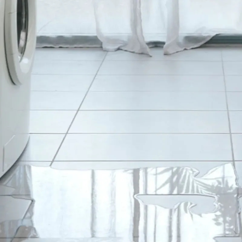 Appliance Leak Cleanup in Elkhart County, IN