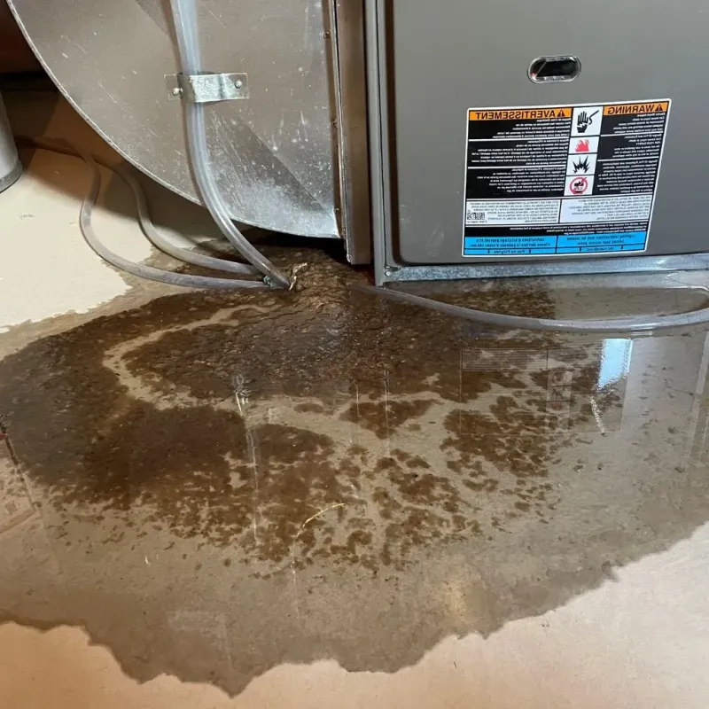 Pipe Burst and Leak Restoration in Elkhart County, IN