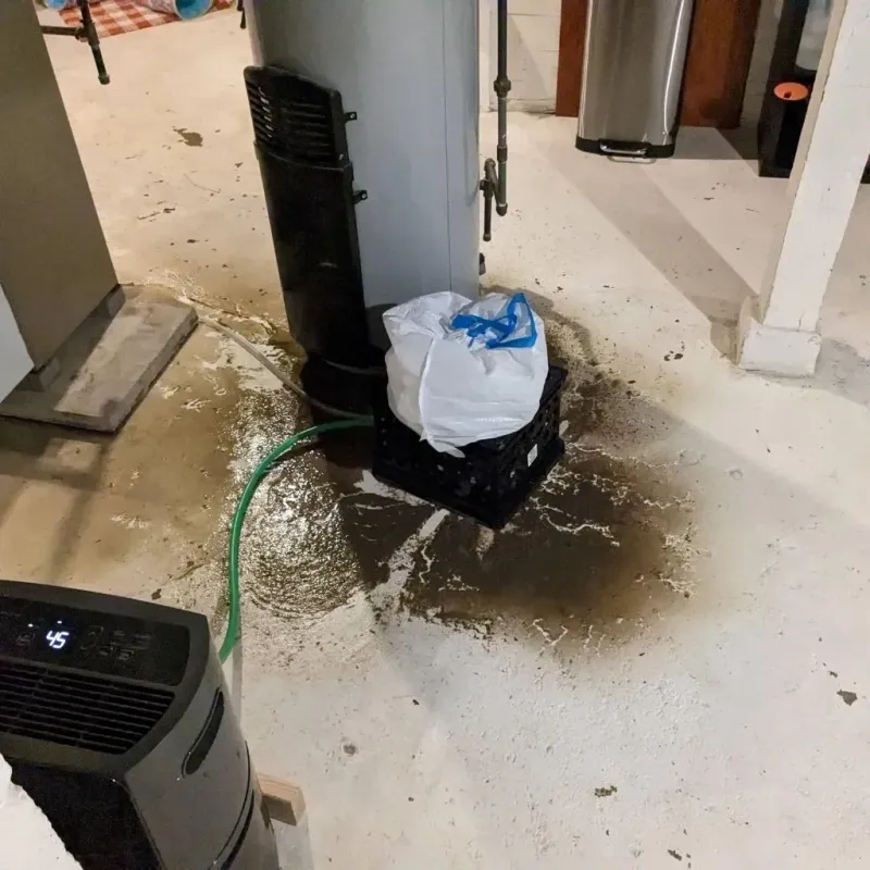Sewage Backup Cleanup Service in Elkhart County, IN